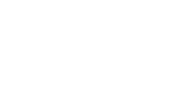 logo 9